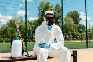 Extermination des cafards