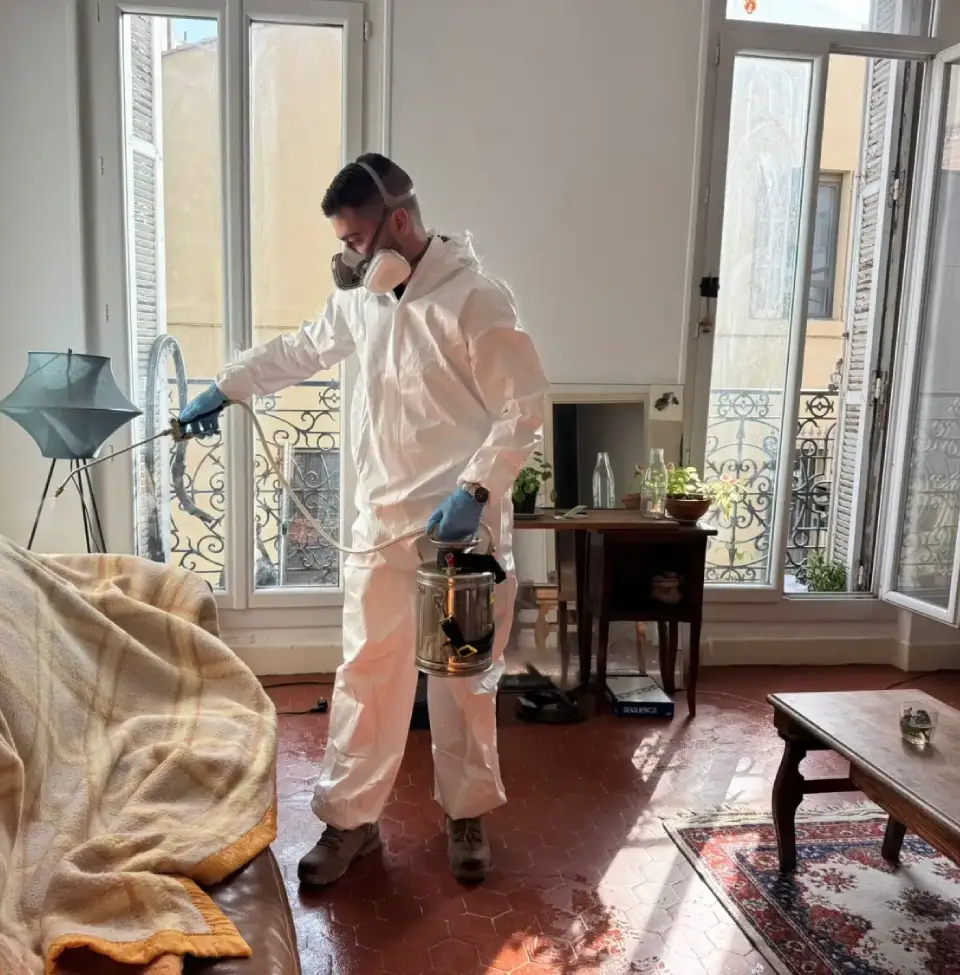 guêpes frelon traitement